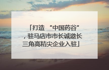 打造 “中国药谷”，驻马店市市长诚邀长三角高精尖企业入驻