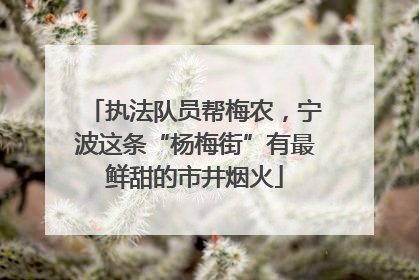 执法队员帮梅农，宁波这条“杨梅街”有最鲜甜的市井烟火