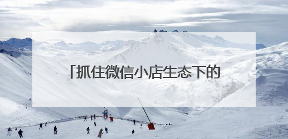 抓住微信小店生态下的推客“躺赚”新机遇