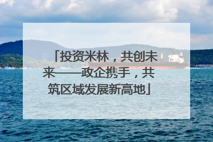 投资米林，共创未来——政企携手，共筑区域发展新高地