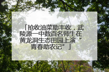 抢收油菜助丰收，武陵源一中数百名师生在黄龙洞生态田园上演“青春助农记”