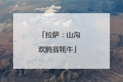 拉萨：山沟欢腾赛牦牛