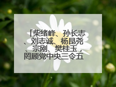 柴绪峰、孙长志、刘志诚、杨昆尧、宗刚、樊桂玉，罔顾党中央三令五申，不知敬畏、我行我素、肆意妄为！