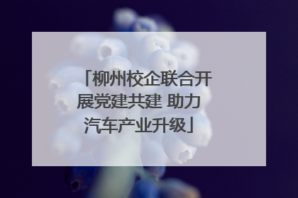 柳州校企联合开展党建共建 助力汽车产业升级