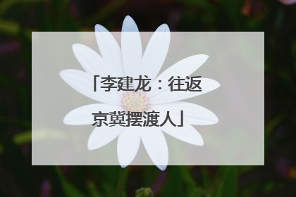 李建龙：往返京冀摆渡人