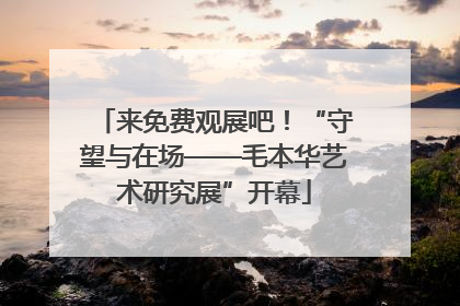 来免费观展吧！“守望与在场——毛本华艺术研究展”开幕