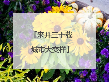来并三十载 城市大变样