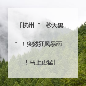 杭州“一秒天黑”！突然狂风暴雨！马上更猛