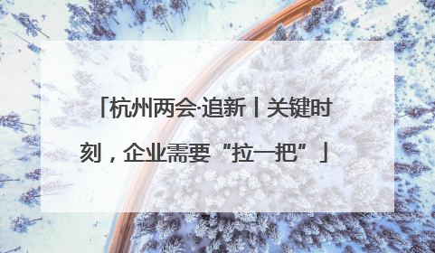 杭州两会·追新丨关键时刻，企业需要“拉一把”