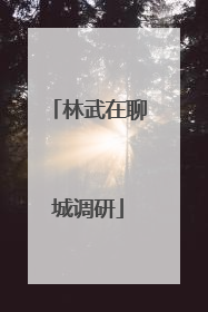 林武在聊城调研
