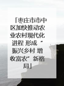 枣庄市市中区加快推动农业农村现代化进程 形成“振兴乡村 增收富农”新格局