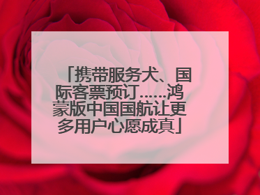 携带服务犬、国际客票预订……鸿蒙版中国国航让更多用户心愿成真