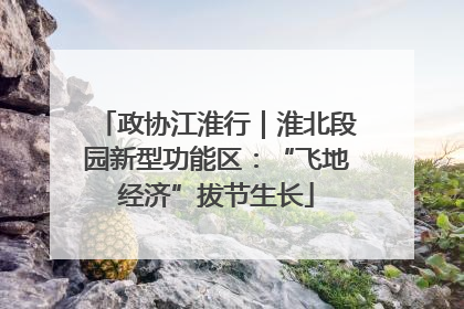 政协江淮行｜淮北段园新型功能区：“飞地经济”拔节生长