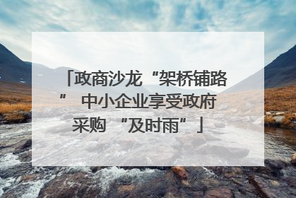 政商沙龙“架桥铺路” 中小企业享受政府采购 “及时雨”