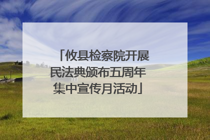 攸县检察院开展民法典颁布五周年集中宣传月活动