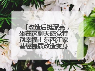 改造后挺漂亮，坐在这聊天感觉特别幸福！东西江家巷经提质改造变身居民自治幸福家