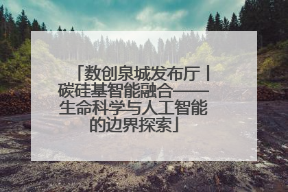 数创泉城发布厅丨碳硅基智能融合——生命科学与人工智能的边界探索