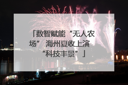 数智赋能“无人农场” 海州夏收上演“科技丰景”
