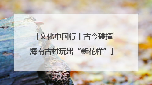 文化中国行丨古今碰撞 海南古村玩出“新花样”