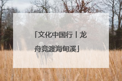 文化中国行丨龙舟竞渡海甸溪