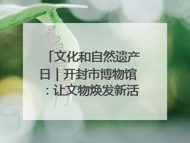 文化和自然遗产日｜开封市博物馆：让文物焕发新活力绽放新光彩