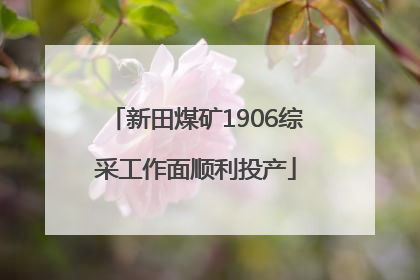 新田煤矿1906综采工作面顺利投产