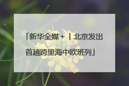 新华全媒＋丨北京发出首趟跨里海中欧班列