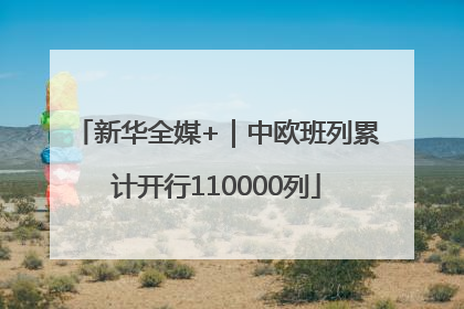 新华全媒+｜中欧班列累计开行110000列