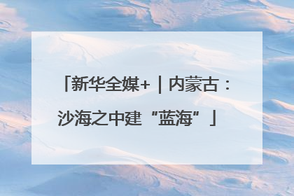新华全媒+｜内蒙古：沙海之中建“蓝海”