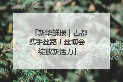 新华鲜报｜古都携手丝路！丝博会绽放新活力