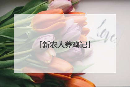 新农人养鸡记