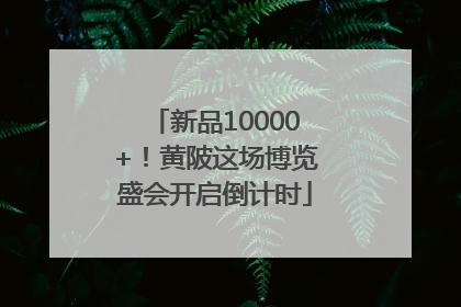新品10000+！黄陂这场博览盛会开启倒计时
