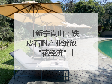 新宁崀山：铁皮石斛产业绽放“花经济”