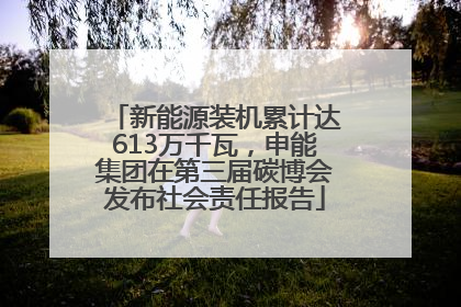 新能源装机累计达613万千瓦，申能集团在第三届碳博会发布社会责任报告