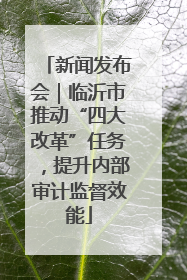 新闻发布会｜临沂市推动“四大改革”任务，提升内部审计监督效能