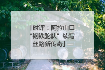 时评：阿拉山口“钢铁驼队”续写丝路新传奇