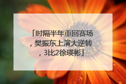 时隔半年重回赛场，樊振东上演大逆转，3比2徐瑛彬