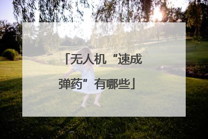 无人机“速成弹药”有哪些