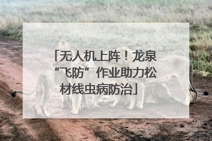 无人机上阵！龙泉“飞防”作业助力松材线虫病防治