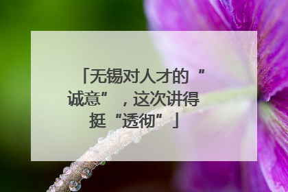 无锡对人才的“诚意”，这次讲得挺“透彻”