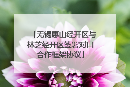无锡惠山经开区与林芝经开区签署对口合作框架协议