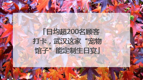 日均超200名顾客打卡，武汉这家“宠物馆子”能定制生日宴