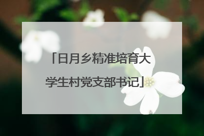 日月乡精准培育大学生村党支部书记