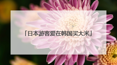 日本游客爱在韩国买大米