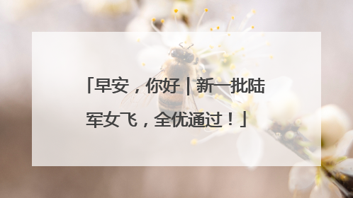 早安，你好｜新一批陆军女飞，全优通过！