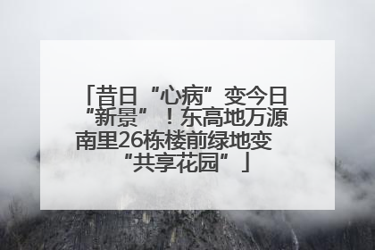 昔日“心病”变今日“新景”！东高地万源南里26栋楼前绿地变“共享花园”