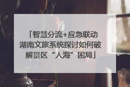 智慧分流+应急联动 湖南文旅系统探讨如何破解景区“人海”困局