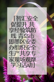 智汇安全促提升 共享经验筑防线 青岛市即墨区安委办组织安全生产共享专家现场观摩学习活动