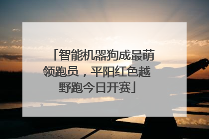 智能机器狗成最萌领跑员，平阳红色越野跑今日开赛
