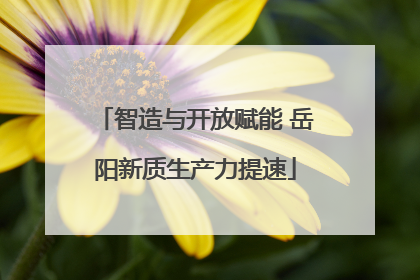 智造与开放赋能 岳阳新质生产力提速